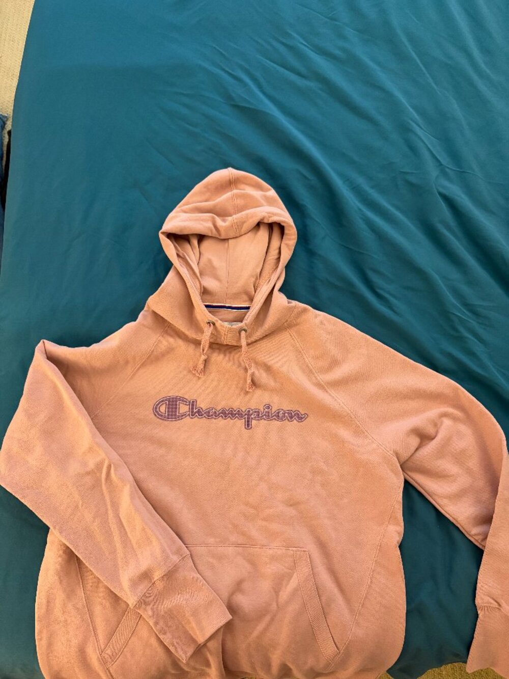 Pink Champion Hoodie